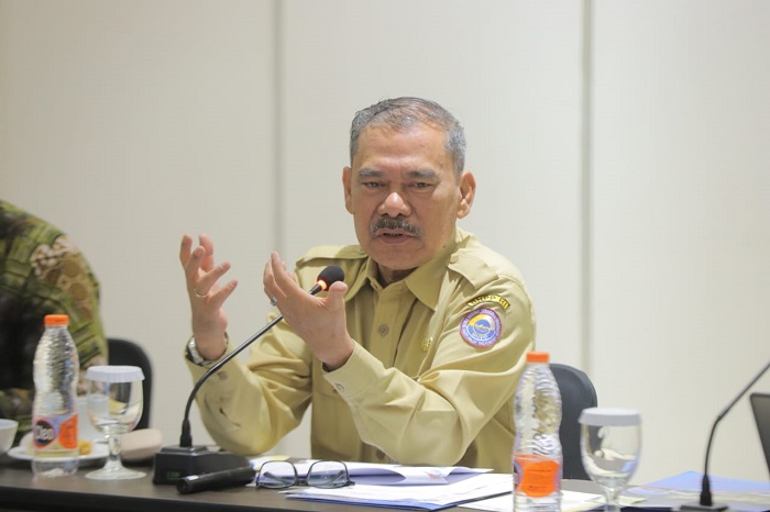 Optimalisasi Sistem Pemerintahan Berbasis Elektronik, BNPP Fokus pada Arsitektur SPBE 'To-Be