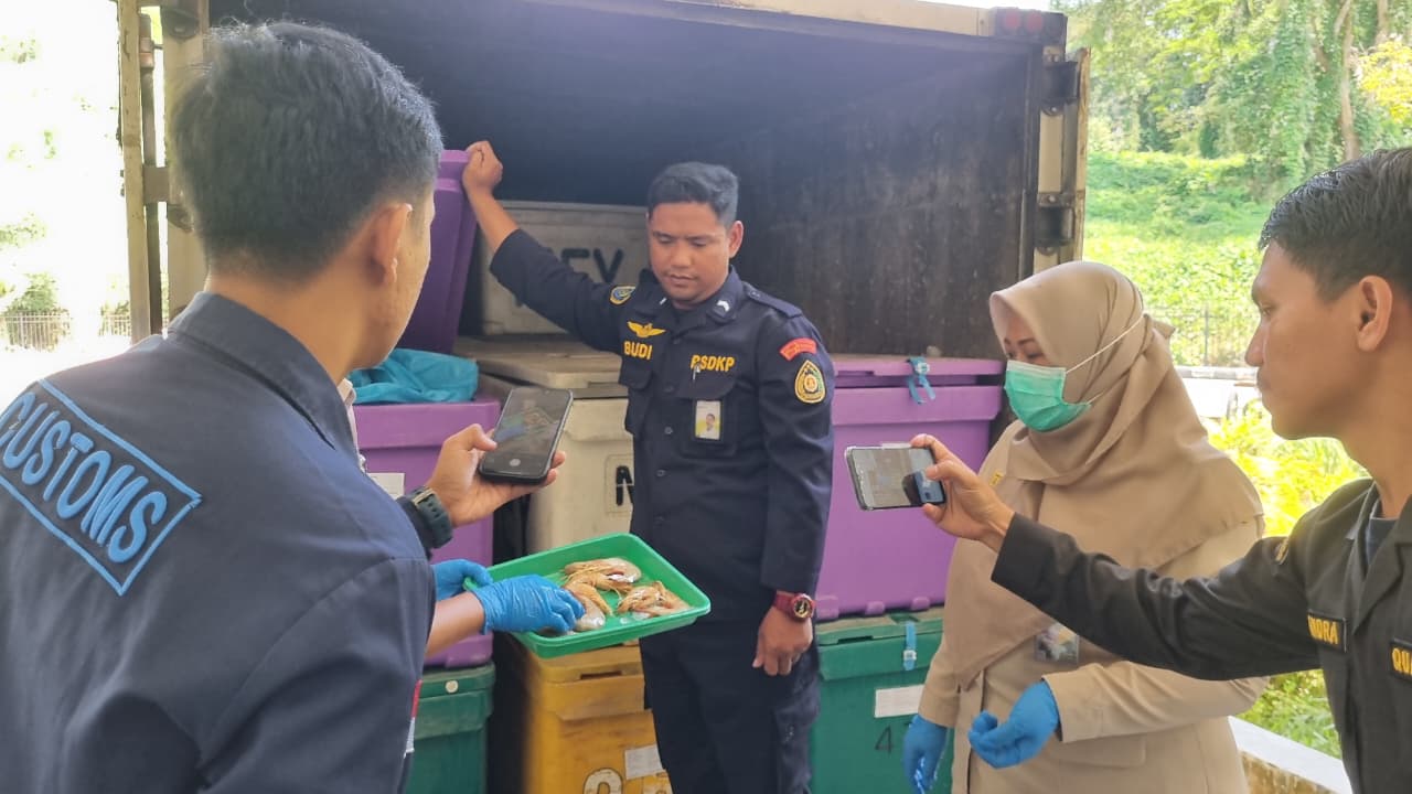 Rutin Ekspor, PLBN Entikong Tunjukkan Tren Positif Pertumbuhan Ekonomi Masyarakat Perbatasan