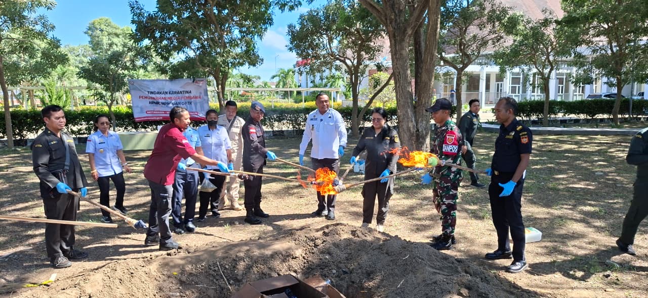 Cegah Ancaman Hama di Perbatasan, BNPP RI Fasilitasi Pemusnahan 222,5 Kg Komoditas Berisiko di PLBN Motamasin