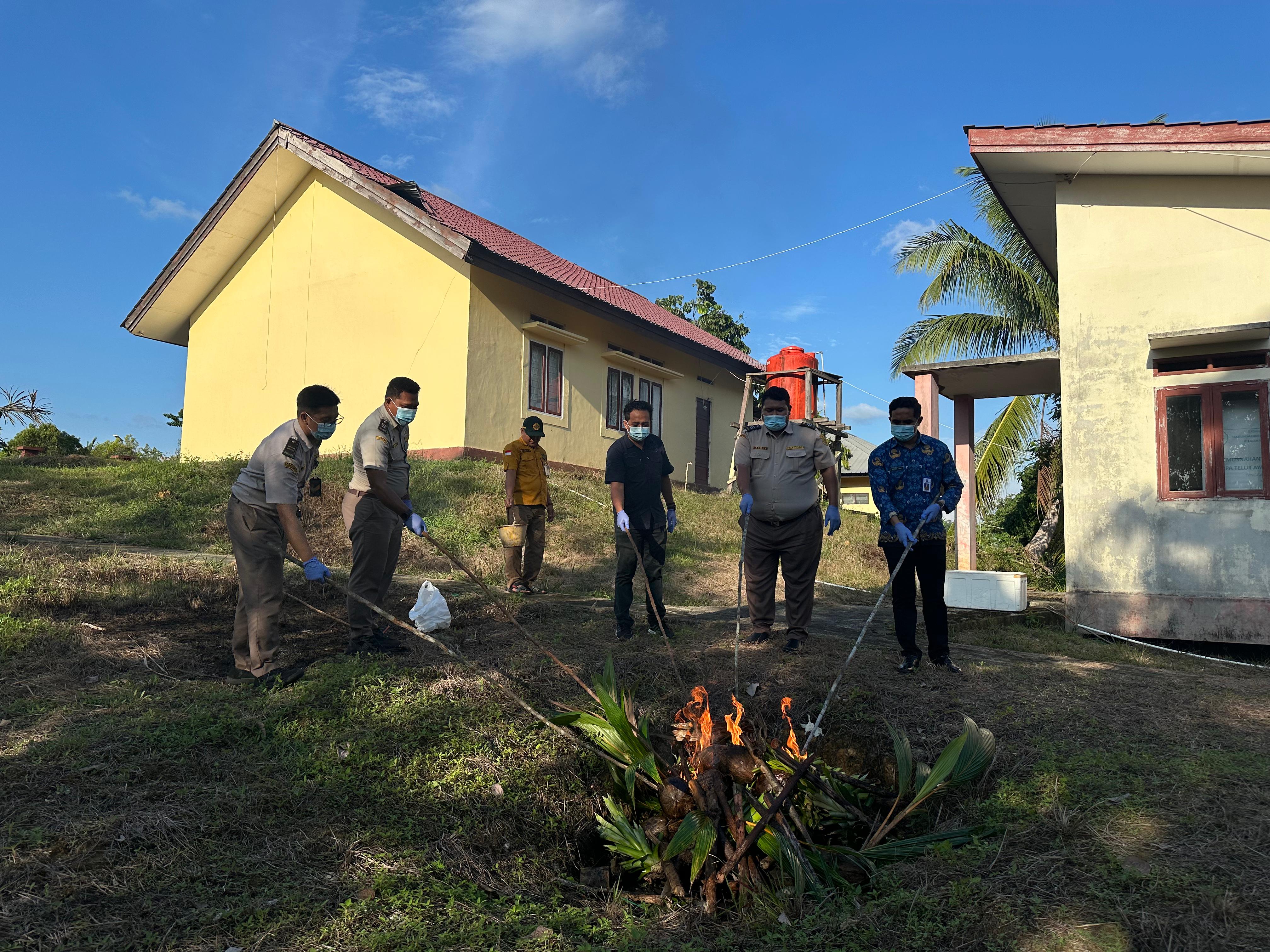 PLBN Badau Dukung Pemusnahan Bibit Tanpa Dokumen Demi Lindungi Pertanian Nasional