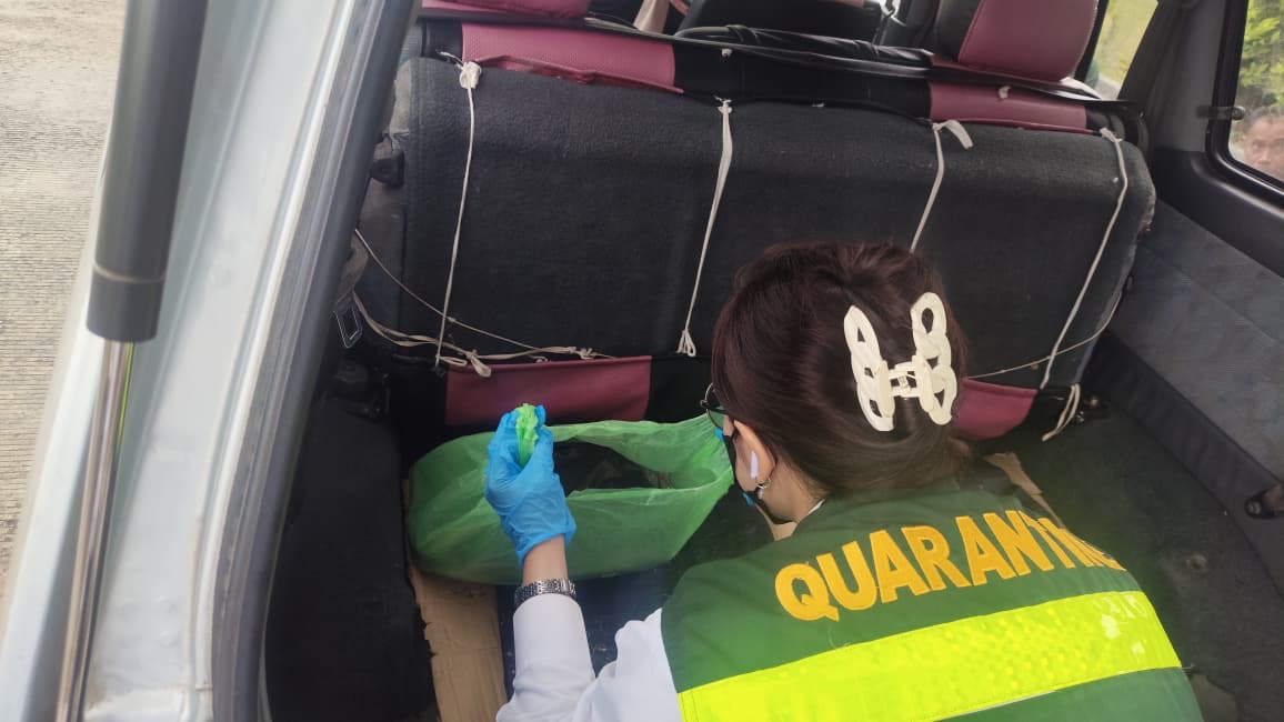 Dedikasi Tanpa Batas di Ujung Negeri, BNPP RI Pastikan Layanan PLBN Badau Tetap Prima Saat Libur Nataru