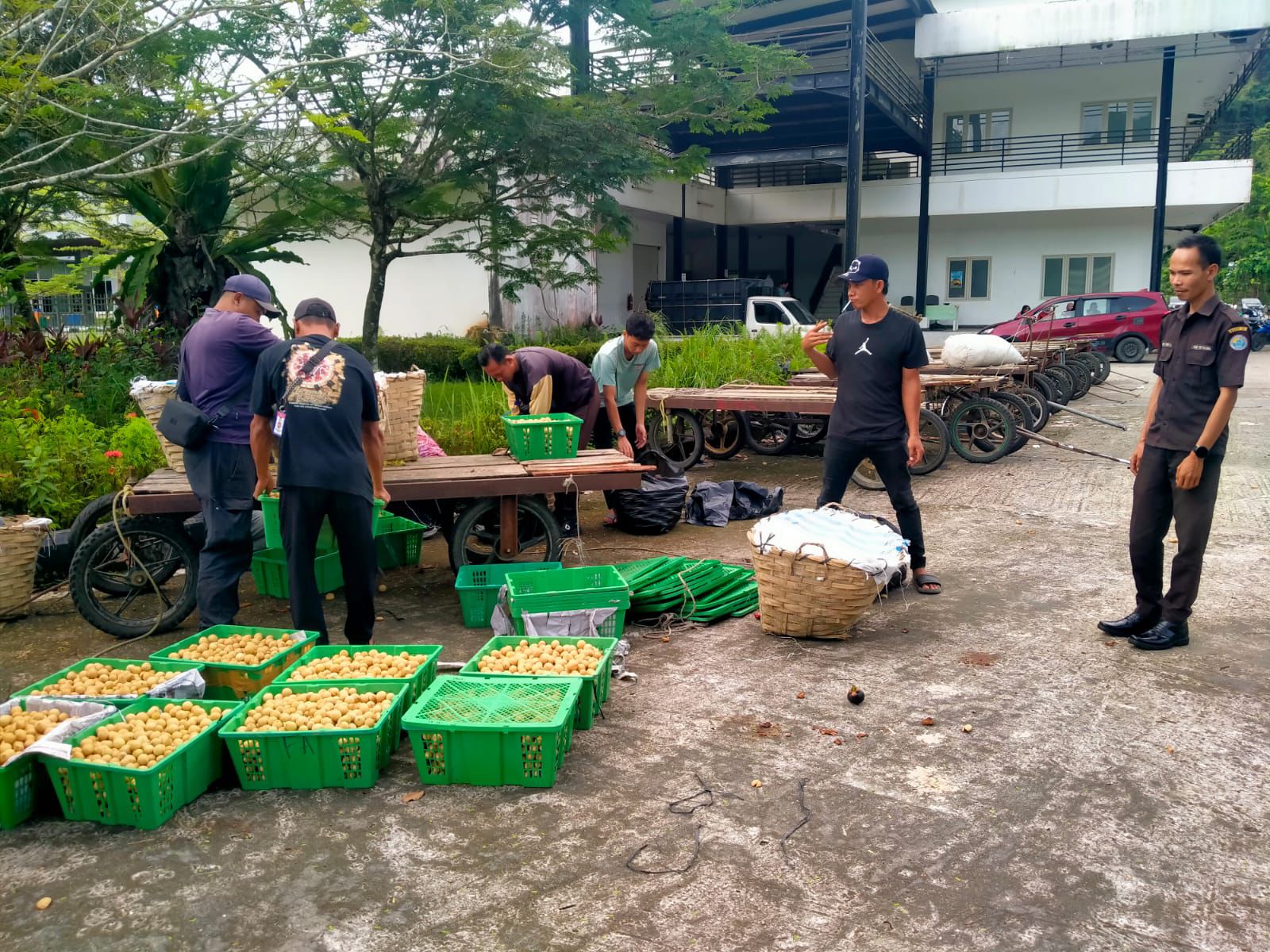 Momentum Nataru Dongkrak Aktivitas Perbatasan di PLBN Entikong, BNPP RI Catat 35.642 Pelintas