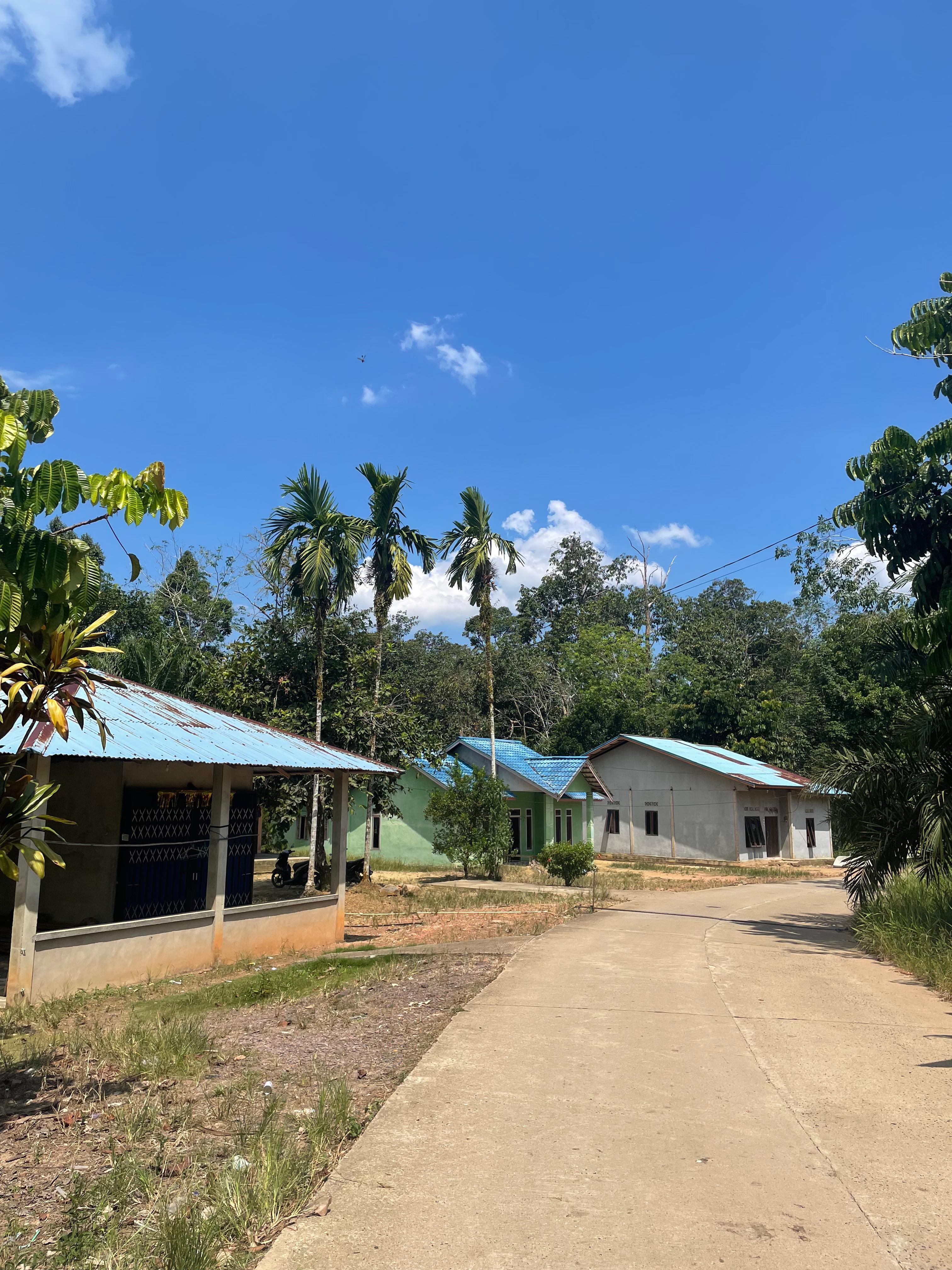 Seperti Nyepi di Bali, Warga Dayak di Desa Sebunga Kalbar Terus Lestarikan Tradisi Sam - Sam
