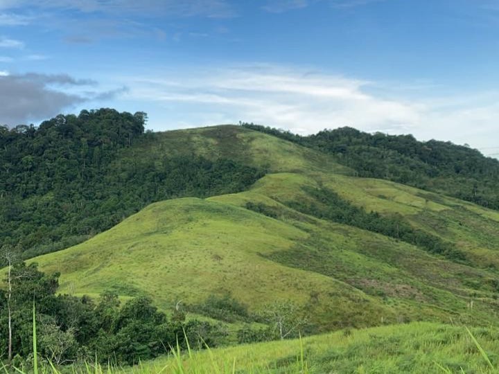 Bukit Babi, Pesona Alam dan Warisan Budaya di Perbatasan Kapuas Hulu