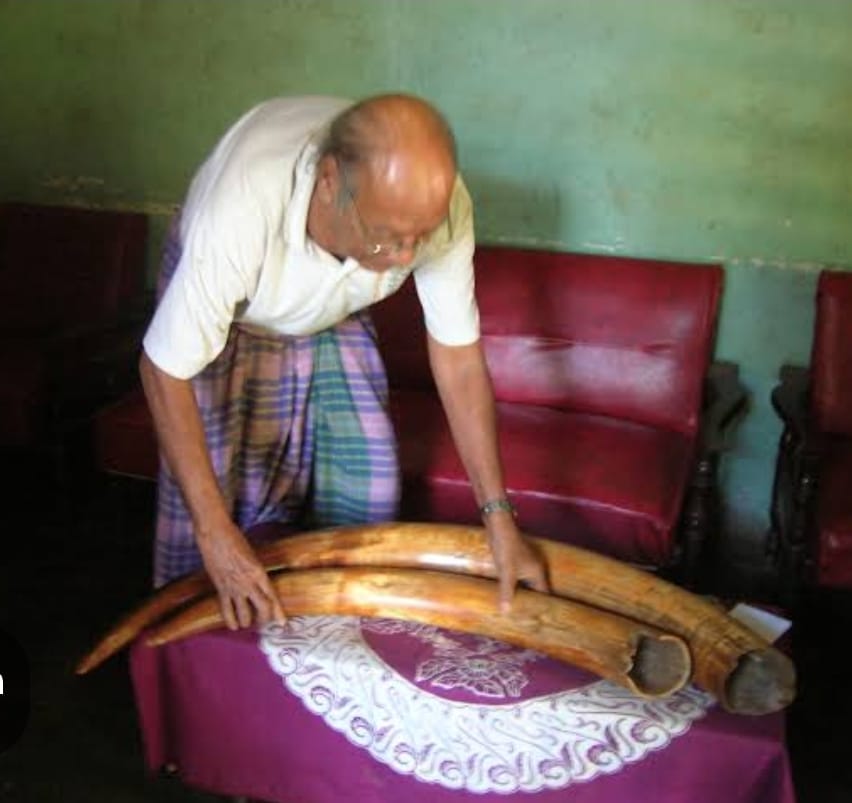 Gading Gajah di Ujung Timor: Pusaka Perbatasan yang Menjadi Saksi Ikatan Kekerabatan