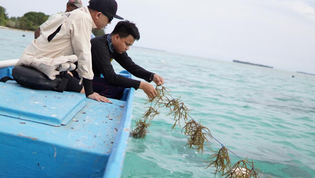 Penguatan Kawasan Perbatasan Negara, BNPP Kaji Pengembangan Ekonomi di PKSN Daruba