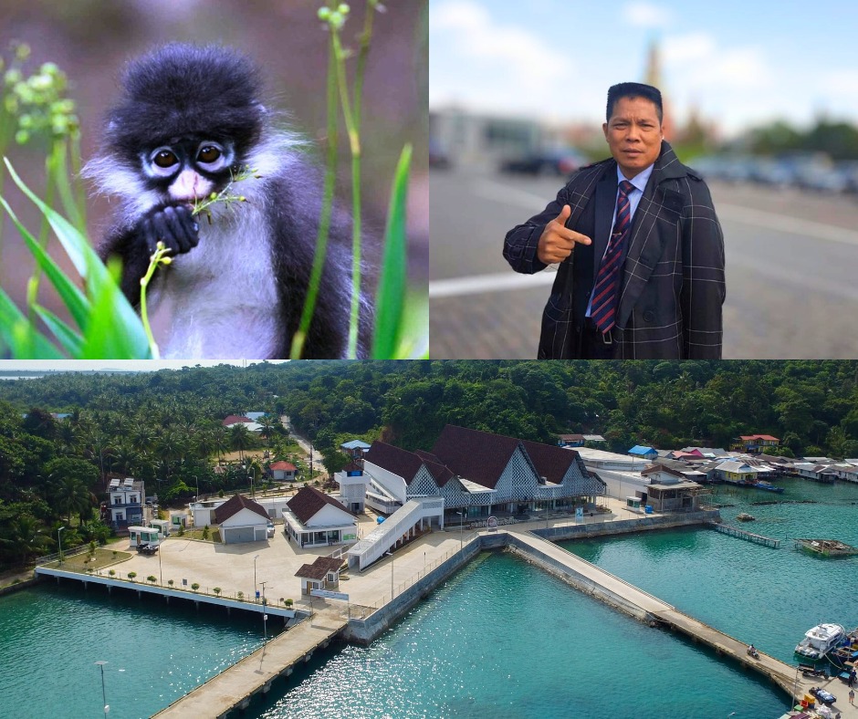 Kekah Natuna: Primata Langka di Pulau Perbatasan yang Menjadi Simbol Keunikan Nusantara