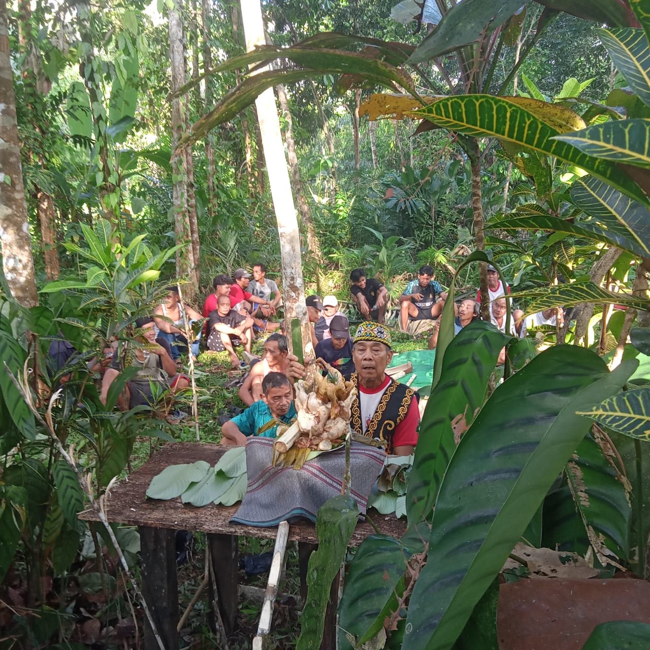 Matuha Rumah: Menguak Makna Ritual Adat Suku Dayak Badamea Menempati Rumah Baru