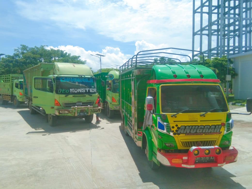 Nilai Ekspor Capai Rp5,9 Triliun, BNPP RI melalui PLBN Motaain Dorong Pertumbuhan Ekonomi Perbatasan