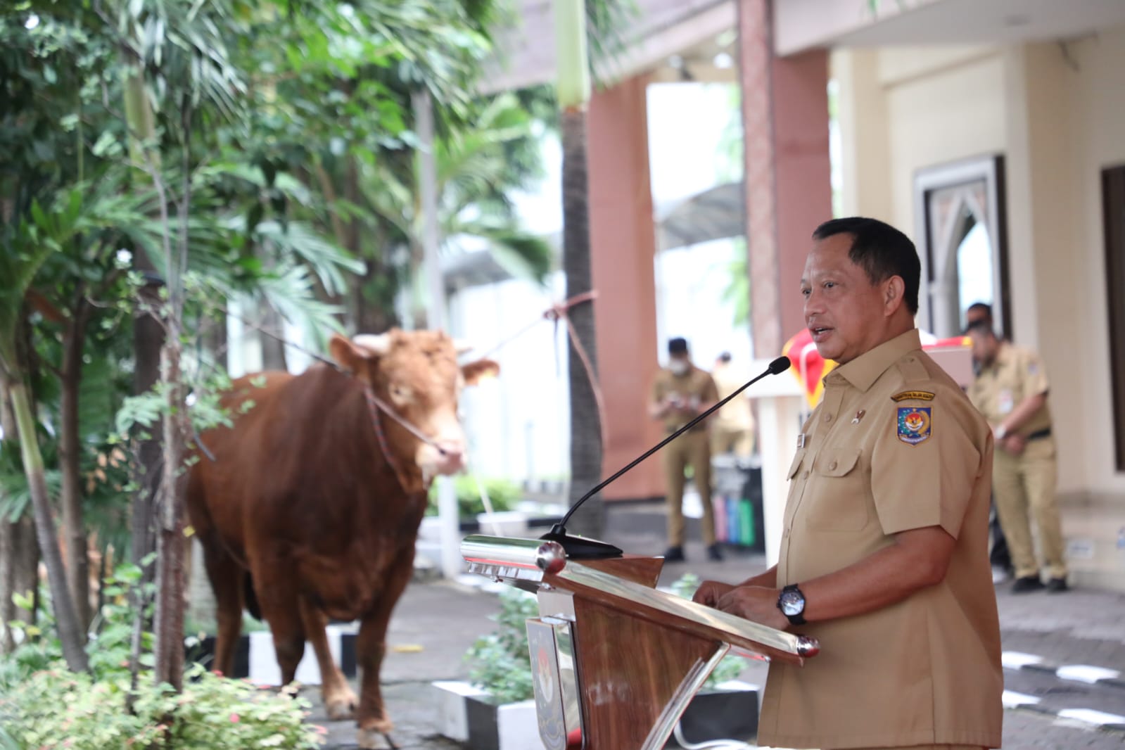 Sambut Iduladha 1444 Hijriah, Menteri Tito Tebar Ratusan Hewan Kurban hingga Perbatasan Negara