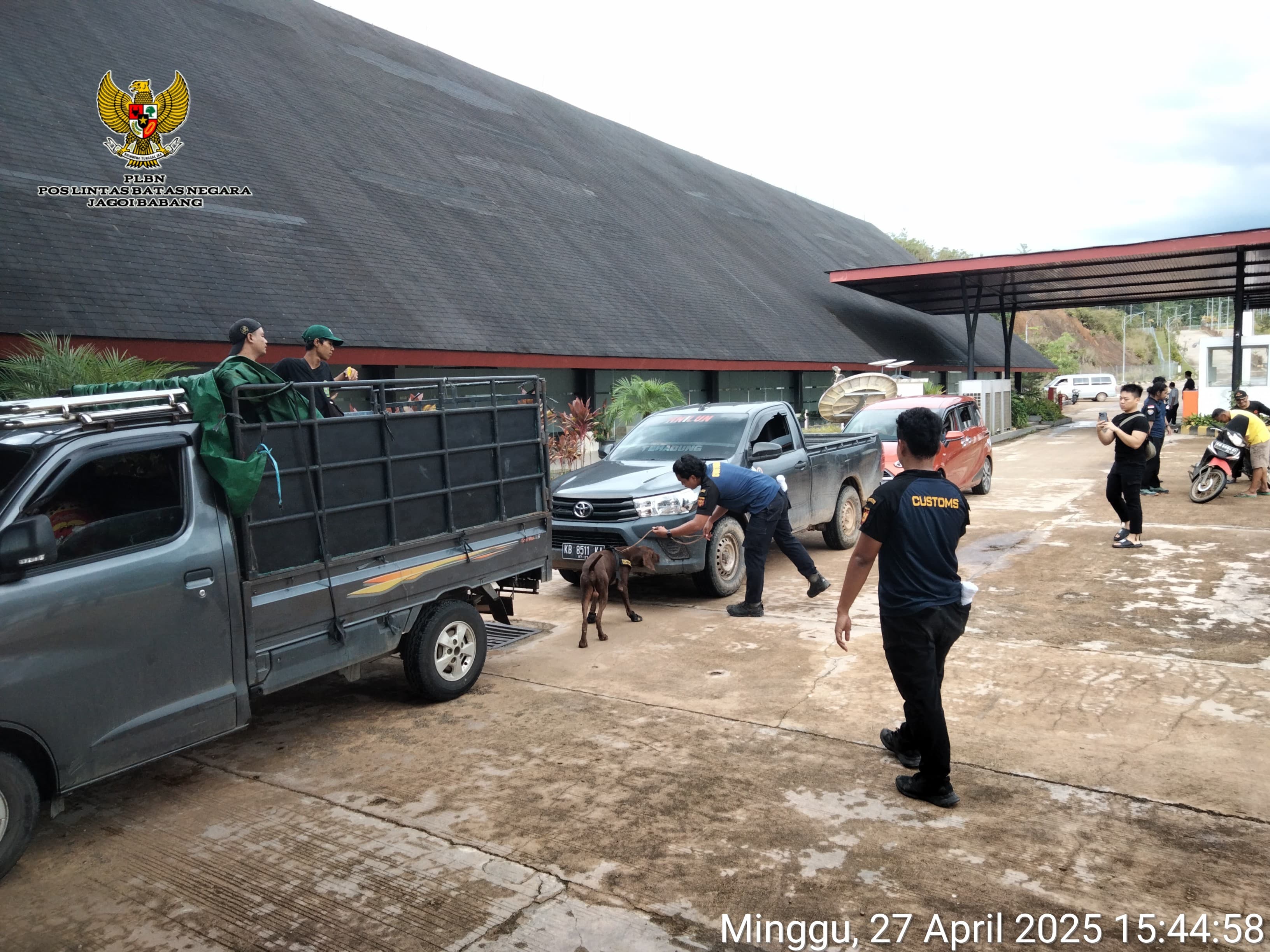 Anjing Pelacak K9 Bea dan Cukai Siaga Deteksi Narkotika di Perbatasan Negara