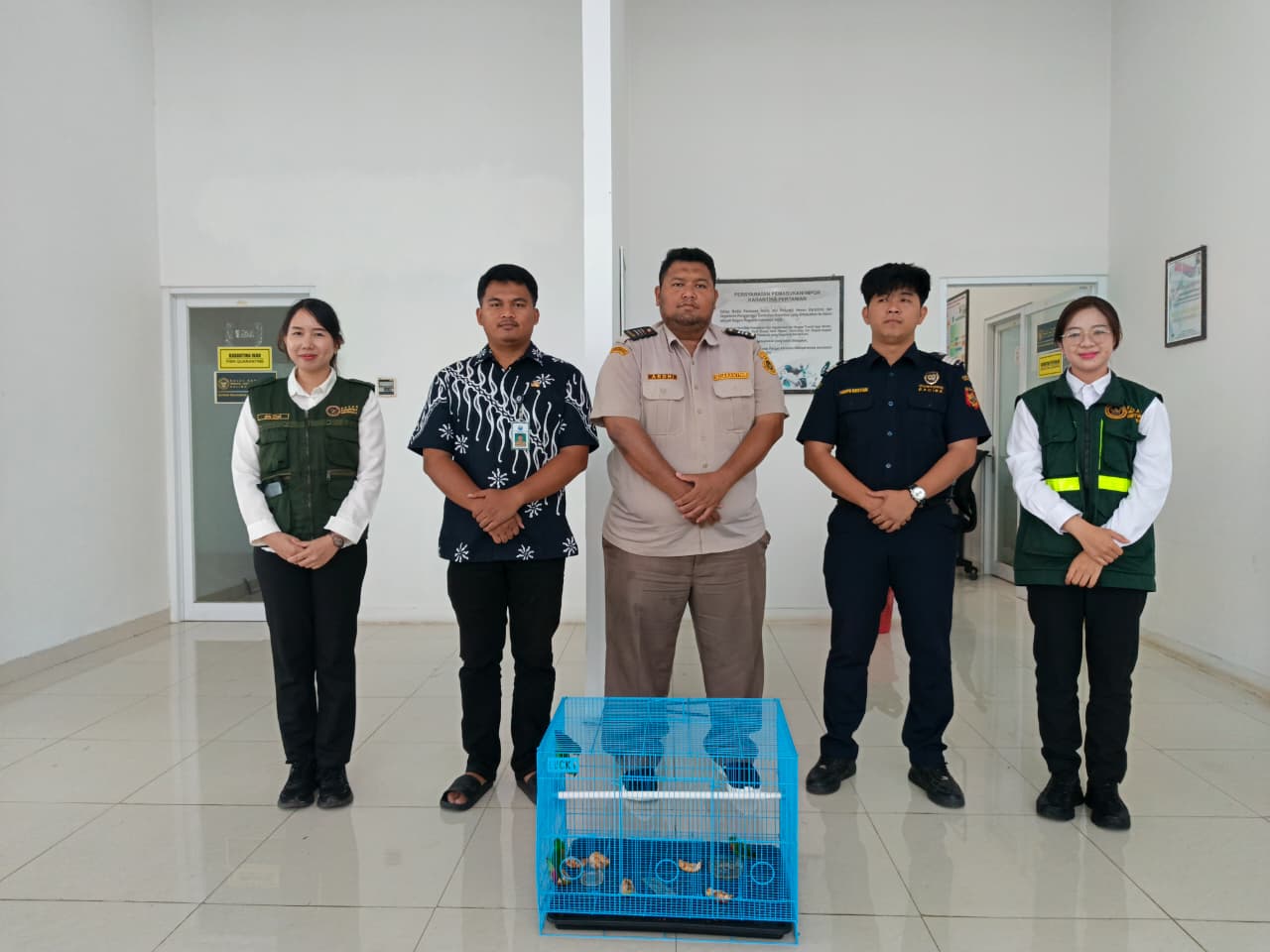 Gagalkan Penyelundupan Satwa, PLBN Badau Lepasliarkan Serindit Melayu di Hutan Perbatasan