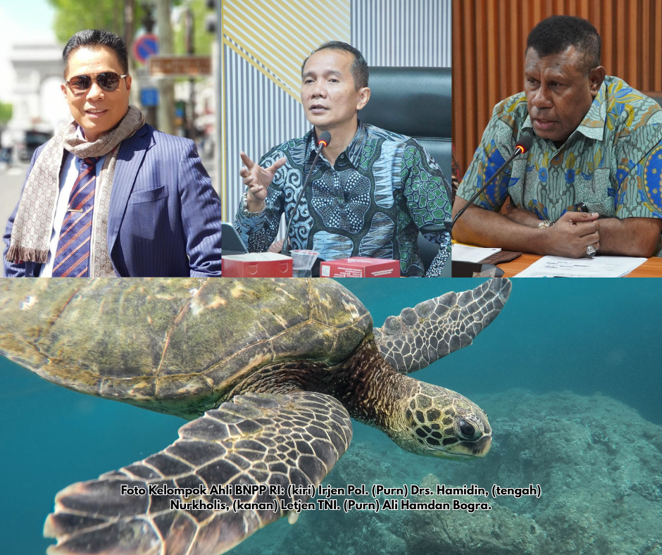 Tukik-Tukik di Pantai Tuturuga: Refleksi Kehidupan dari Perbatasan