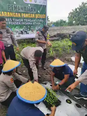 Dari Batas RI - Timor Leste, PLBN Wini Turut Sukseskan Swasembada Pangan Nasional