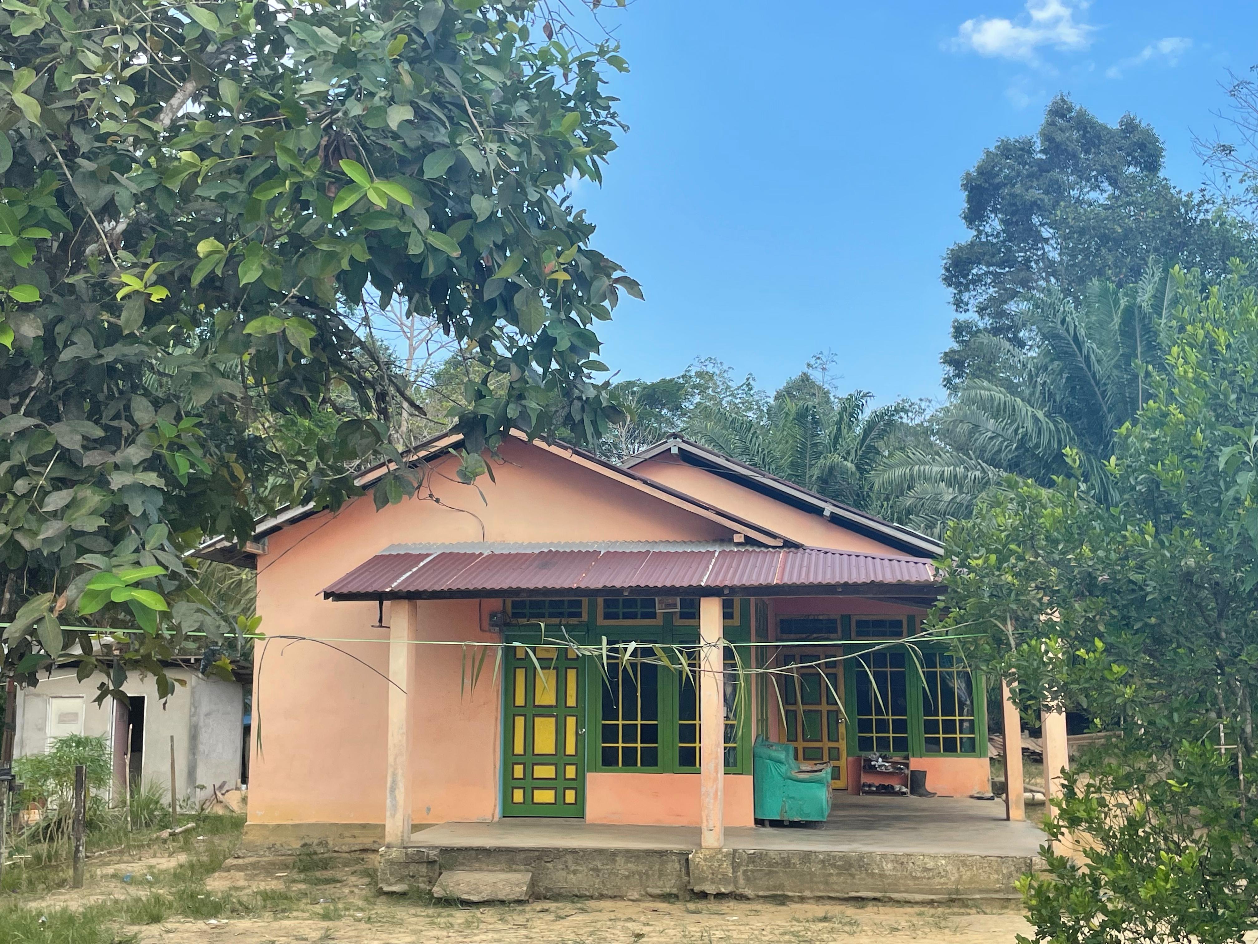 Sam-Sam, Nyanyian Sunyi dari Hutan Kalimantan