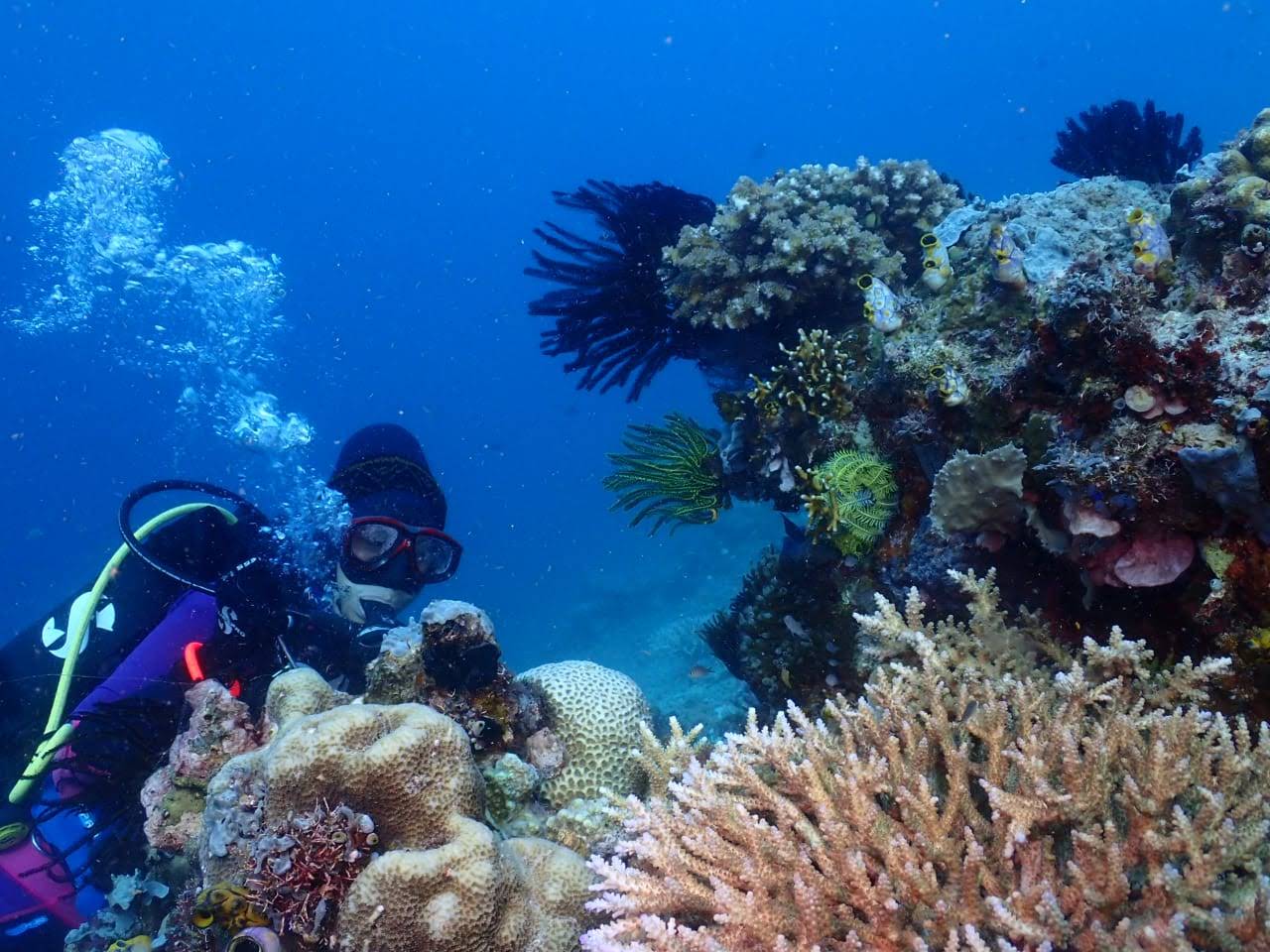 Pulau-Pulau Terluar Sumatera: Surga Bahari dan Benteng Maritim Nusantara